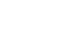 logo-alo