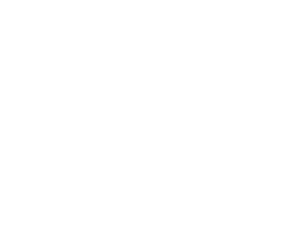 logo international